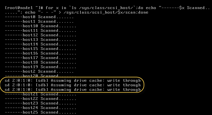 newly added hard disk scanned