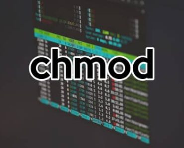 Understanding the chmod Command in Linux