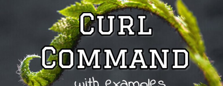 curl command examples